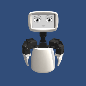 head_compensation1